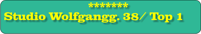 ******* Studio Wolfgangg. 38/ Top 1